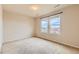 Bright bedroom featuring a pair of windows with natural light and plush carpeting at 303 Diablo Pl, Brighton, CO 80603