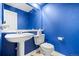 Bright half-bathroom with blue walls features a pedestal sink, white fixtures, and modern design at 3748 Oakwood Dr, Longmont, CO 80503