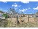 Large fenced backyard with dogs, trailer, and potential for outdoor activities at 7060 Holly St, Commerce City, CO 80022