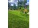 Exterior shot of the backyard featuring a lush green lawn, landscaping, and a fenced-in area at 26259 Kingsbury Rd, Kittredge, CO 80457