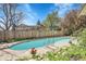 Backyard swimming pool surrounded by lush landscaping and a privacy fence at 6116 W Frost Dr, Littleton, CO 80128