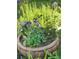 Rustic flower pot filled with vibrant purple and orange flowers, adding charm to the outdoor space at 11149 Seton Pl, Westminster, CO 80031