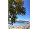 Scenic lake view framed by a mature tree and clear blue sky with distant mountains at 11328 W Radcliffe Dr, Littleton, CO 80127
