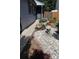 Stone pathway leading to the front door surrounded by beautiful rock features and landscaped garden beds at 7988 S Johnson Ct, Littleton, CO 80128