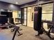 Basement gym featuring Peloton bike and punching bag at 1237 S Saint Paul St, Denver, CO 80210