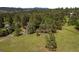 Aerial view featuring the property surrounded by mature trees, with ample space for outdoor activities at 29663 Paint Brush Dr, Evergreen, CO 80439