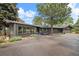 Charming single-story home with a paved driveway, mature trees, and beautifully landscaped front yard at 29663 Paint Brush Dr, Evergreen, CO 80439