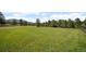 Expansive green grass yard surrounded by mature trees, and a wooden fence at 29663 Paint Brush Dr, Evergreen, CO 80439