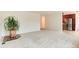 Open-concept living space with neutral carpet, white walls, and a glimpse of the kitchen with wooden cabinets at 3150 S Pitkin St, Aurora, CO 80013
