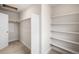 Spacious walk-in closet with ample shelving and hanging space for optimal organization at 2171 Peralta Loop, Castle Rock, CO 80104