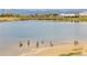 Geese on the lakeshore, with a view of the water, opposite shoreline, and distant tree-covered mountains at 5242 Columbine Ln, Denver, CO 80221