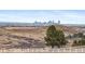 Scenic view of Denver skyline over grassy plains and a white fence at 5540 Horseshoe Trl, Sedalia, CO 80135