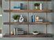 Close up of modern shelving in an office with plants, books, and modern decor at 1787 W 166Th Ave, Broomfield, CO 80023