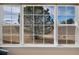 Large window offering a scenic view of a mature tree and open landscape at 15123 Xenia St, Thornton, CO 80602