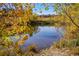 Calm pond reflecting the autumnal colors of the surrounding trees and vegetation, creating a serene landscape at 11023 Glengate Cir, Highlands Ranch, CO 80130