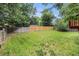 Large fenced backyard with grass and mature trees, providing privacy and space for outdoor activities at 4678 S Lewiston Way, Aurora, CO 80015