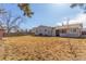 Large backyard with a fenced perimeter provides ample space for outdoor activities and privacy at 3541 E 118Th Ave, Thornton, CO 80233