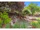 Backyard pond with decorative rocks, waterfall feature, and lush plants at 172 S Forest St, Denver, CO 80246