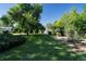 Expansive backyard featuring mature trees and green grass, perfect for outdoor activities and relaxation at 5680 W 41St Ave, Wheat Ridge, CO 80212