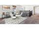 Cozy living room area with stylish decor, comfortable seating, and an elegant area rug on carpeted floors at 6214 Long Branch Dr, Parker, CO 80134