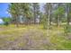 Large wooded backyard featuring mature trees and a wooden fence enclosing the property at 26732 Main St, Conifer, CO 80433