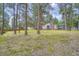 Exterior view of backyard with mature trees, lawn, shed, and back of home with stone chimney at 26732 Main St, Conifer, CO 80433