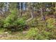 Landscaped backyard featuring steps up a hill, lush foliage and trees at 4835 Abo Ln, Monument, CO 80132