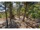 Land with trees at 4835 Abo Ln, Monument, CO 80132
