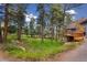 Lush green yard with mature trees surrounding a charming mountain home with a wooden deck and stone accents at 4835 Abo Ln, Monument, CO 80132