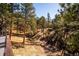 View of treed backyard from deck, creating a serene and private outdoor space at 2122 Cramner Ct, Evergreen, CO 80439
