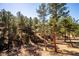 Expansive wooded backyard, ideal for nature enthusiasts seeking peace and seclusion at 2122 Cramner Ct, Evergreen, CO 80439