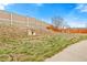Large backyard with mature trees, dog house, privacy fence, and plenty of space for outdoor activities at 7162 Quay St, Arvada, CO 80003