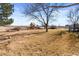 Large backyard with playground and open space at 15050 Harrison St, Brighton, CO 80602