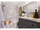 Modern bathroom featuring a shower-tub combo and sleek vanity with stylish decor at 9443 Palisade Ct, Highlands Ranch, CO 80130