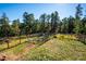 Fenced backyard with garden beds, shed, and treed landscape providing privacy and a park-like setting at 28553 Birch Ln, Conifer, CO 80433