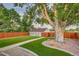 Spacious backyard with lush green lawn, mature tree, and privacy fence at 488 S Leyden St, Denver, CO 80224
