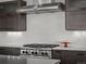 A close-up of the KitchenAid vent hood and modern stovetop, highlighting the kitchen's high-end features and finishes at 9487 Winding Hill Way, Lone Tree, CO 80124