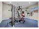 Fully-equipped home gym with weight machines, a TV, and mirrored wall, perfect for fitness enthusiasts at 3485 Park Ridge Rd, Sedalia, CO 80135