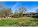 Expansive backyard features green grass, a fire pit, and lush trees at 2435 Creighton Dr, Golden, CO 80401