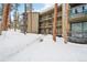 Multi-level condo building showcasing balconies and snow-covered walkway and surroundings at 1173 Ski Hill Rd # 127, Breckenridge, CO 80424