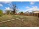 Expansive backyard featuring a large grassy area, mature tree, and wooden privacy fence at 109 S Fulton Ave, Fort Lupton, CO 80621