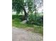 Tranquil backyard featuring a small wooden bridge in a natural setting at 22400 County Road 10, Hudson, CO 80642