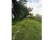 Scenic view of a long grassy lane lined with trees and fencing at 22400 County Road 10, Hudson, CO 80642