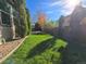 Well maintained backyard with lush green lawn and fence line plus mature trees at 1927 Rannoch Dr, Longmont, CO 80504