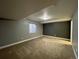 Bedroom featuring carpet, a gray accent wall, and a window at 1927 Rannoch Dr, Longmont, CO 80504