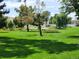 Expansive community greenspace with mature trees, lush grass and a central water feature at 9320 E Center Ave # 7A, Denver, CO 80247