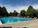 Large community pool with multiple lanes, lounge chairs, and mature trees, offering a refreshing and relaxing experience at 8164 Flower Cir, Arvada, CO 80005