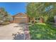 Charming home with a well-maintained lawn, mature trees, and a welcoming facade, set in a desirable neighborhood at 8164 Flower Cir, Arvada, CO 80005