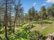 Lush backyard with a treehouse and mature trees, perfect for outdoor activities at 8422 S Ault Ln, Morrison, CO 80465