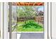 A view from the doorway to a private, fenced backyard with green grass and a mature tree at 3513 Quitman St, Denver, CO 80212